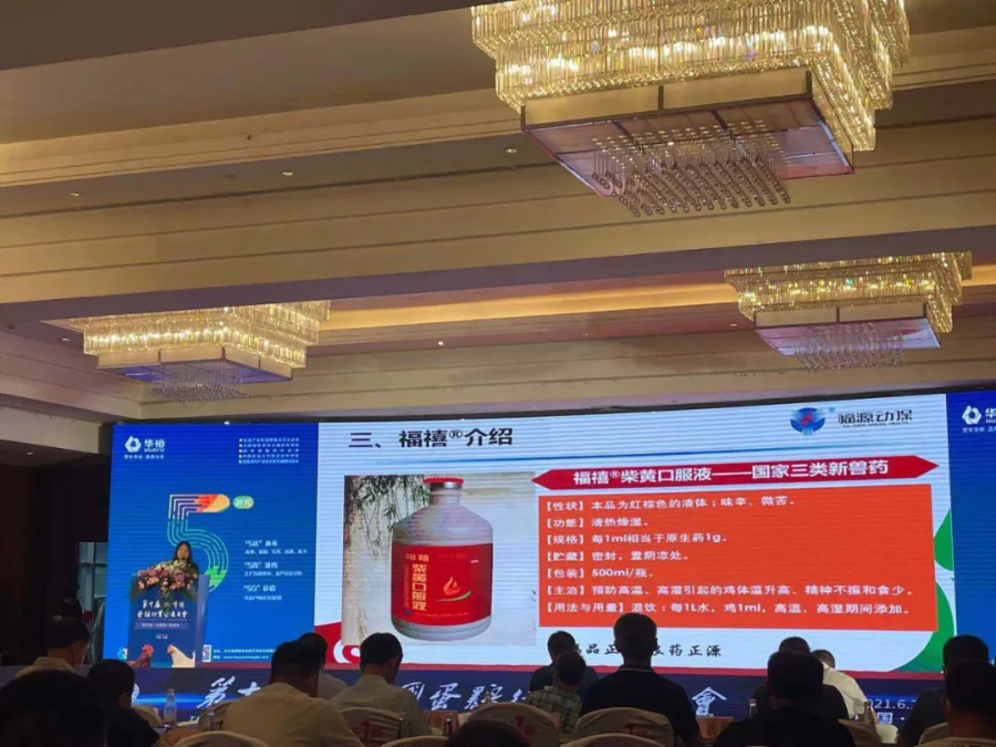 导出图片Wed Jan 12 2022 16_04_55 GMT+0800 (中国标准时间).png