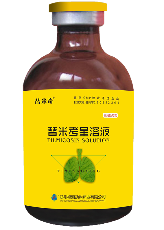 替米奇.png